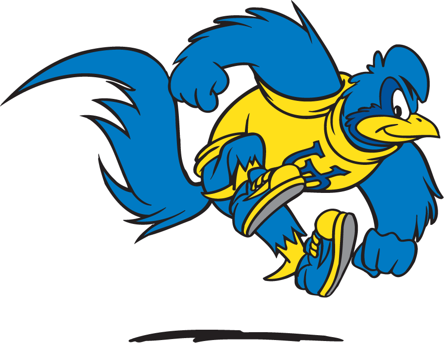 Delaware Blue Hens 1999-2009 Mascot Logo v5 iron on transfers for clothing
